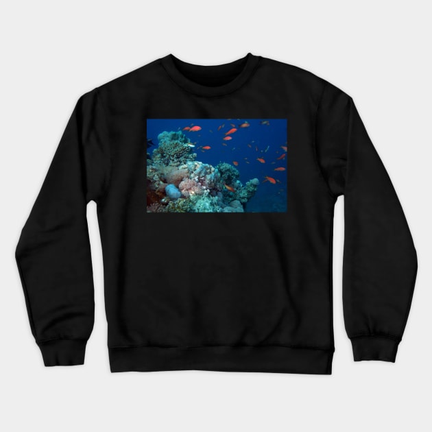 marine and aquatic life Crewneck Sweatshirt by likbatonboot